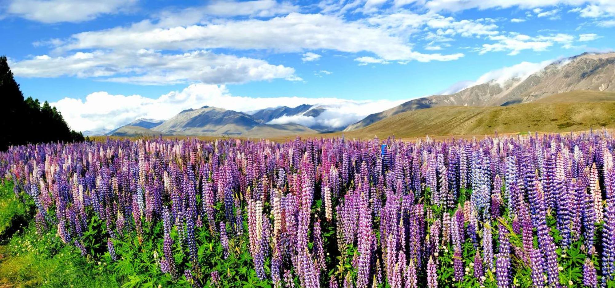 37 Galaxy C Studio Lake Tekapo Eksteriør billede